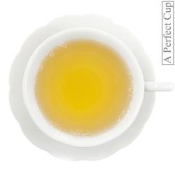 Tisane Moringa revigorant