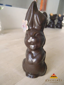 Petit lapin souriant
