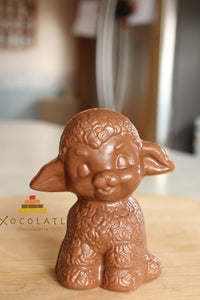 Little sheep
